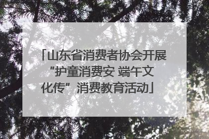 山东省消费者协会开展 “护童消费安 端午文化传”消费教育活动