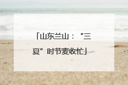 山东兰山：“三夏”时节麦收忙