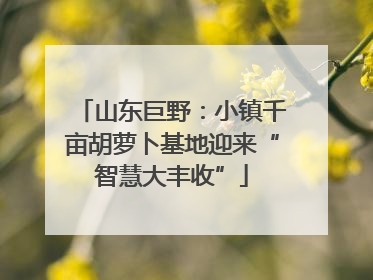 山东巨野：小镇千亩胡萝卜基地迎来“智慧大丰收”