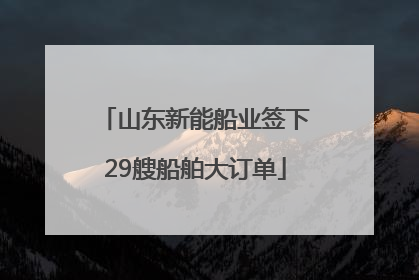 山东新能船业签下29艘船舶大订单