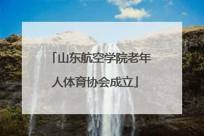 山东航空学院老年人体育协会成立