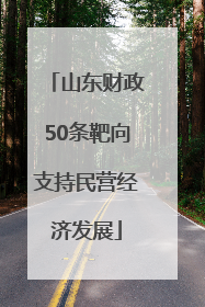 山东财政50条靶向支持民营经济发展