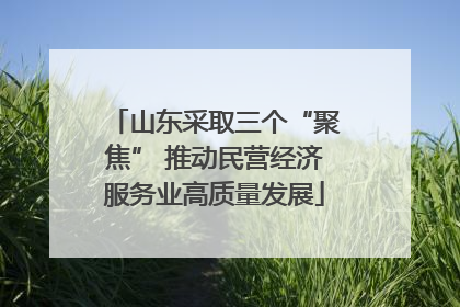 山东采取三个“聚焦” 推动民营经济服务业高质量发展