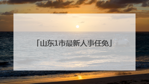 山东1市最新人事任免