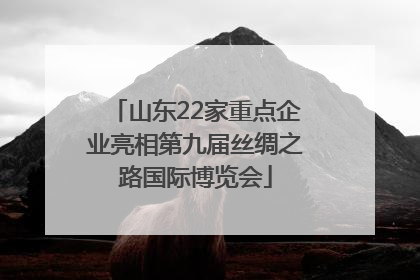 山东22家重点企业亮相第九届丝绸之路国际博览会