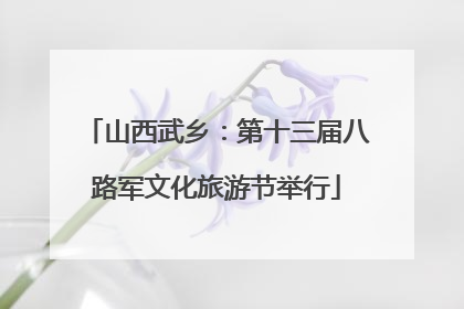 山西武乡：第十三届八路军文化旅游节举行