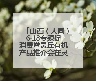 山西（大同）6·18专题促消费暨灵丘有机产品推介会在灵丘举行