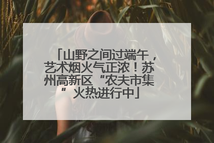 山野之间过端午，艺术烟火气正浓！苏州高新区“农夫市集”火热进行中