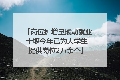 岗位扩增量撬动就业 十堰今年已为大学生提供岗位2万余个
