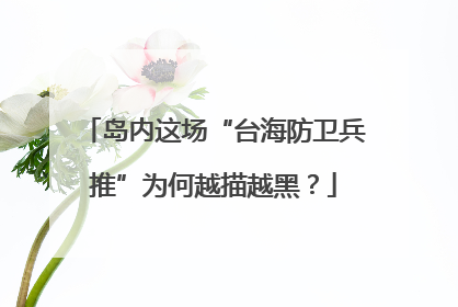 岛内这场“台海防卫兵推”为何越描越黑？
