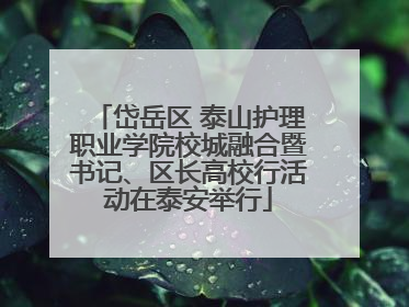 岱岳区 泰山护理职业学院校城融合暨书记、区长高校行活动在泰安举行