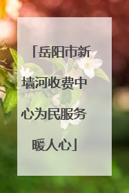 岳阳市新墙河收费中心为民服务暖人心
