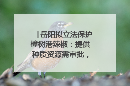 岳阳拟立法保护樟树港辣椒：提供种质资源需审批，违规最高罚5万