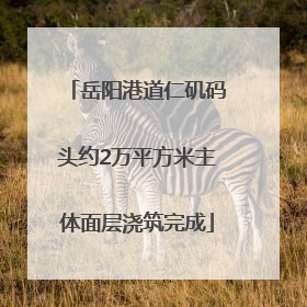 岳阳港道仁矶码头约2万平方米主体面层浇筑完成