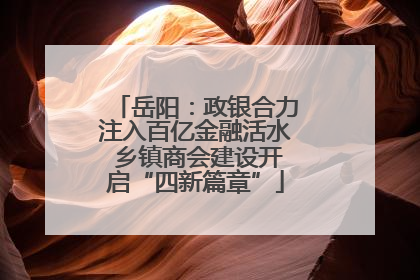 岳阳:政银合力注入百亿金融活水 乡镇商会建设开启“四新篇章”
