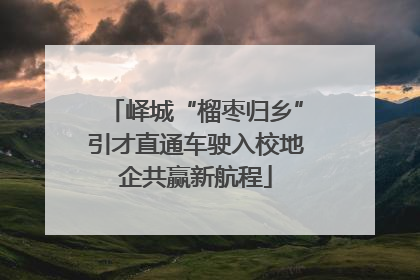 峄城“榴枣归乡”引才直通车驶入校地企共赢新航程