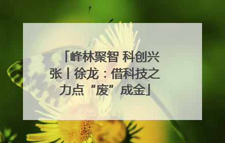 峰林聚智 科创兴张丨徐龙：借科技之力点“废”成金