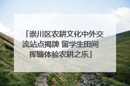 崇川区农耕文化中外交流站点揭牌 留学生田间挥镰体验农耕之乐