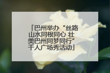 巴州举办“丝路山水同根同心 壮美巴州同梦同行”千人广场秀活动