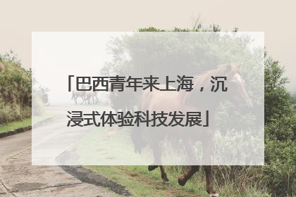 巴西青年来上海，沉浸式体验科技发展