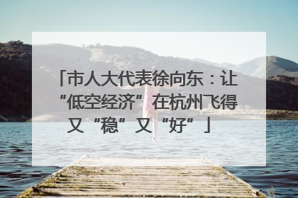 市人大代表徐向东：让“低空经济”在杭州飞得又“稳”又“好”