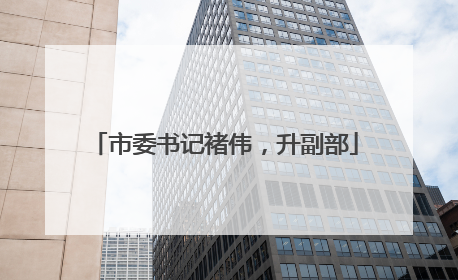 市委书记褚伟，升副部