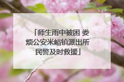 师生雨中被困 娄烦公安米峪镇派出所民警及时救援