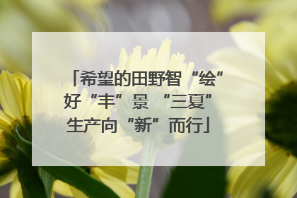 希望的田野智“绘”好“丰”景 “三夏”生产向“新”而行