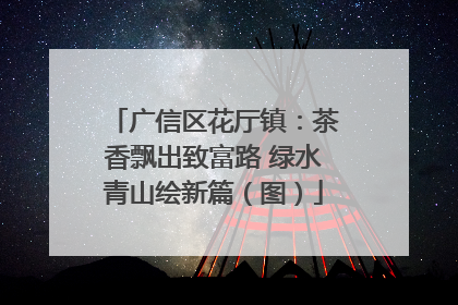 广信区花厅镇：茶香飘出致富路 绿水青山绘新篇（图）