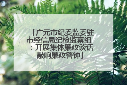 广元市纪委监委驻市经信局纪检监察组：开展集体廉政谈话 敲响廉政警钟