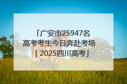 广安市25947名高考考生今日奔赴考场｜2025四川高考
