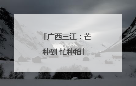 广西三江：芒种到 忙种稻