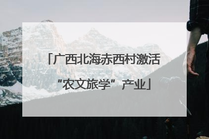 广西北海赤西村激活“农文旅学”产业