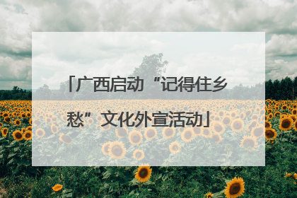 广西启动“记得住乡愁”文化外宣活动