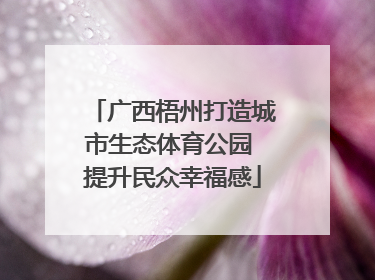 广西梧州打造城市生态体育公园 提升民众幸福感