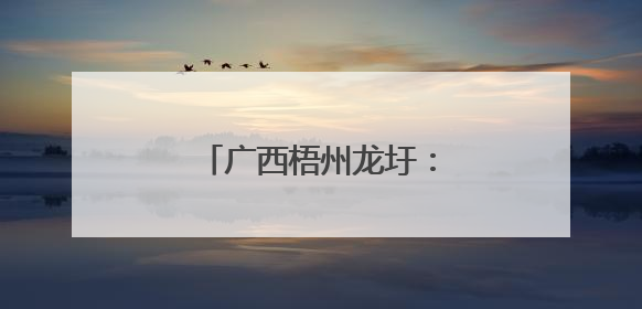 广西梧州龙圩：动车飞驰过田野