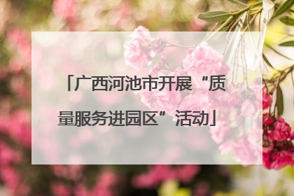 广西河池市开展“质量服务进园区”活动