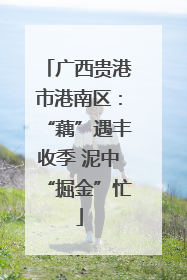 广西贵港市港南区：“藕”遇丰收季 泥中“掘金”忙