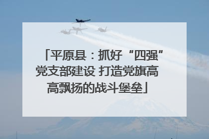 平原县：抓好“四强”党支部建设 打造党旗高高飘扬的战斗堡垒
