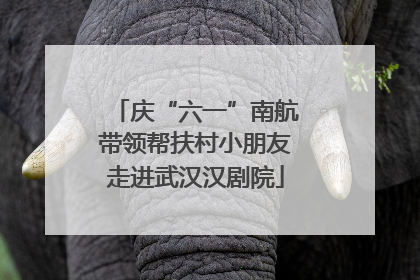 庆“六一”南航带领帮扶村小朋友走进武汉汉剧院