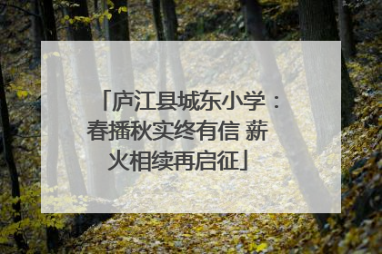 庐江县城东小学：春播秋实终有信 薪火相续再启征