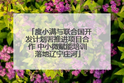 度小满与联合国开发计划署推进项目合作 中小微赋能培训落地辽宁庄河