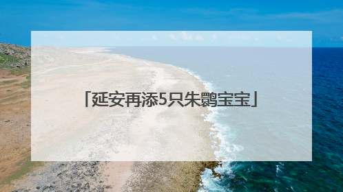 延安再添5只朱鹮宝宝