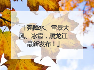 强降水、雷暴大风、冰雹，黑龙江最新发布！