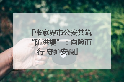 张家界市公安共筑“防洪堤”：向险而行 守护安澜