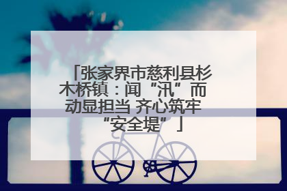 张家界市慈利县杉木桥镇：闻“汛”而动显担当 齐心筑牢“安全堤”