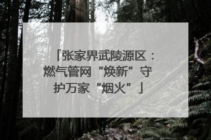 张家界武陵源区：燃气管网“焕新”守护万家“烟火”