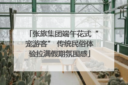 张旅集团端午花式“宠游客” 传统民俗体验拉满假期氛围感