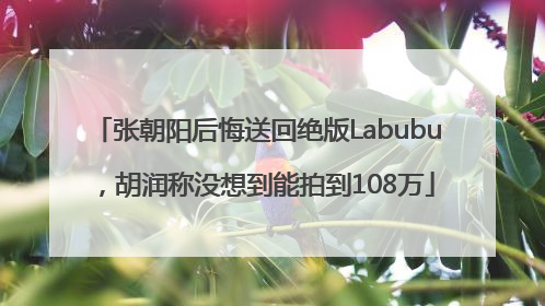 张朝阳后悔送回绝版Labubu，胡润称没想到能拍到108万