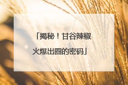 揭秘！甘谷辣椒火爆出圈的密码